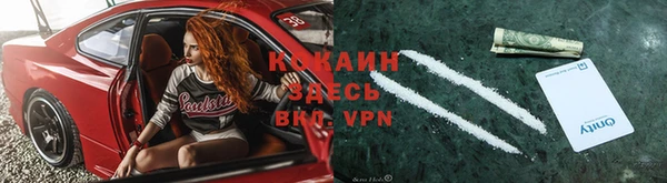 гидра Кодинск
