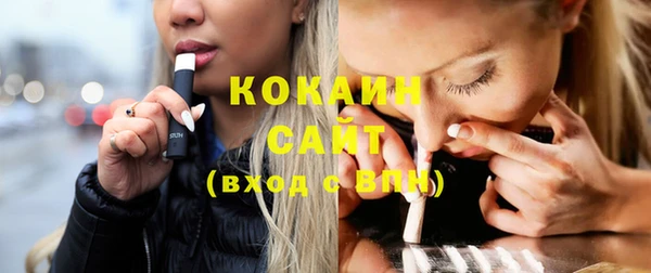 гидра Кодинск