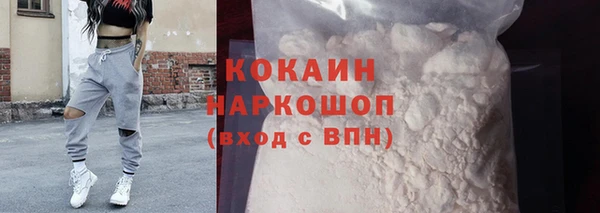гидра Кодинск