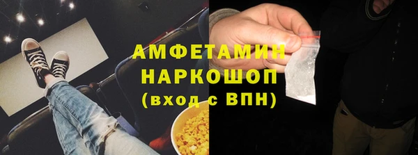гидра Кодинск