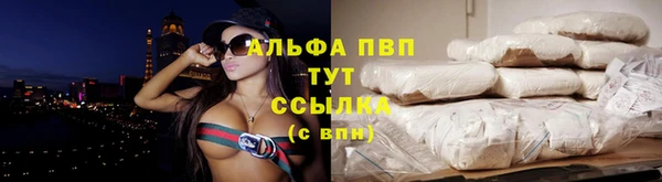 гидра Кодинск