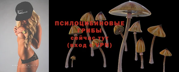 гидра Кодинск
