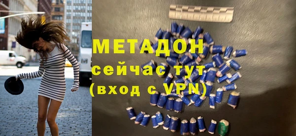 гидра Кодинск