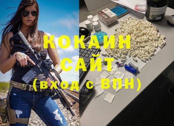 гидра Кодинск