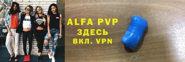 гидра Кодинск