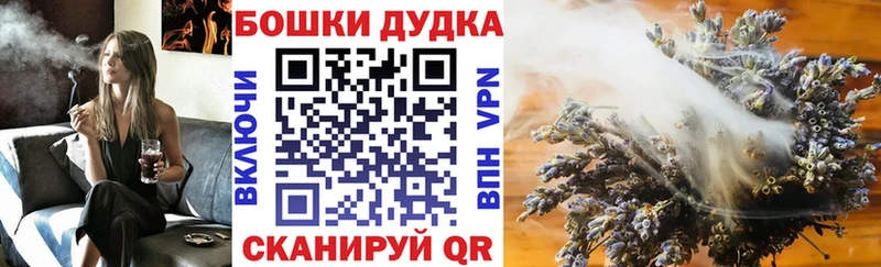 Канабис сатива  Купить закладки  Вяземский 